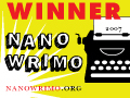 Nano Winner 2007